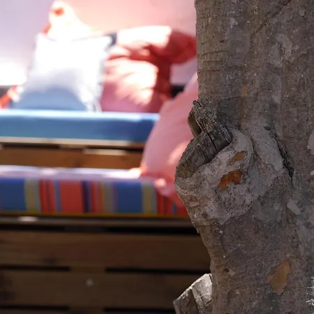 Hostel & Surfcamp 55