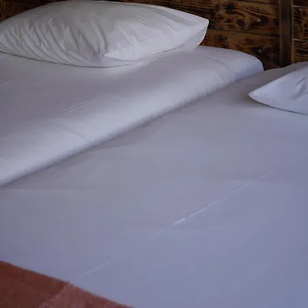 & Surfcamp 55 Hostel Ericeira