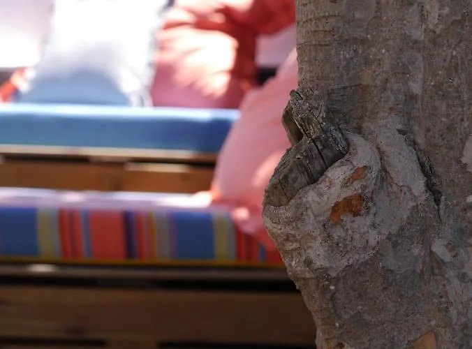 Hostel & Surfcamp 55